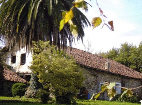 Gañibi