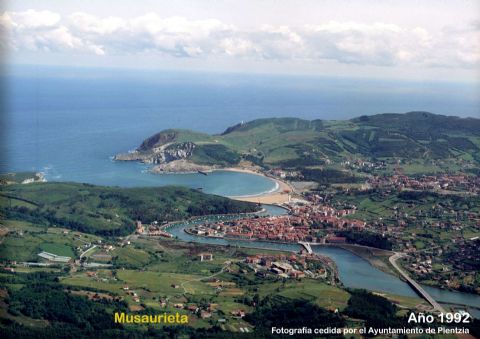 Musaurieta