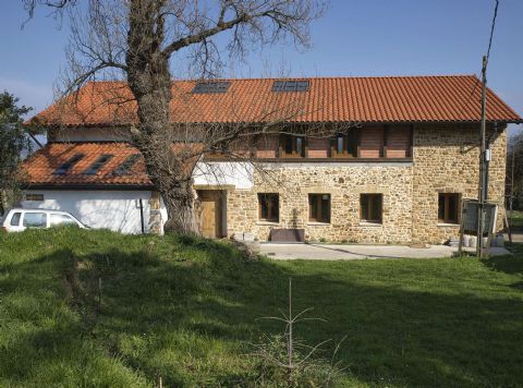 Zandelizosteikoa