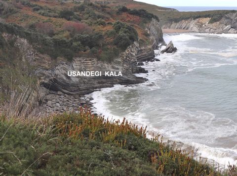 Usandegi