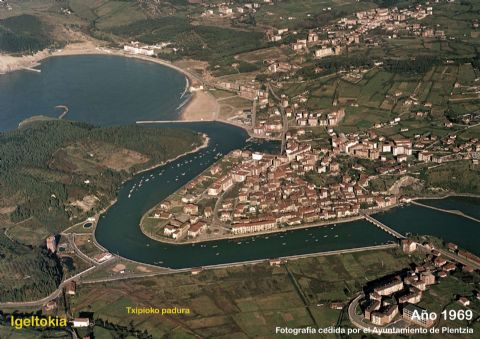 Igeltokia