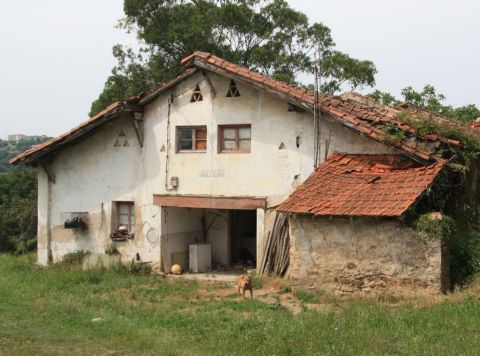 Agadena